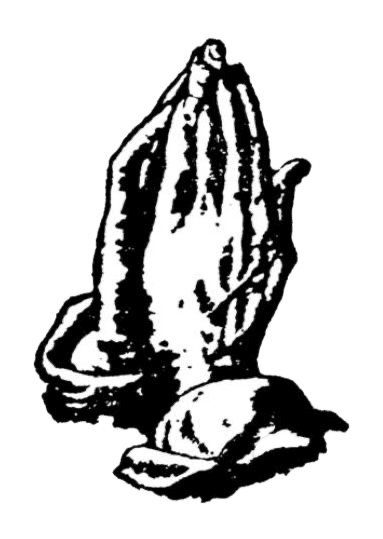 Shakiri Logo